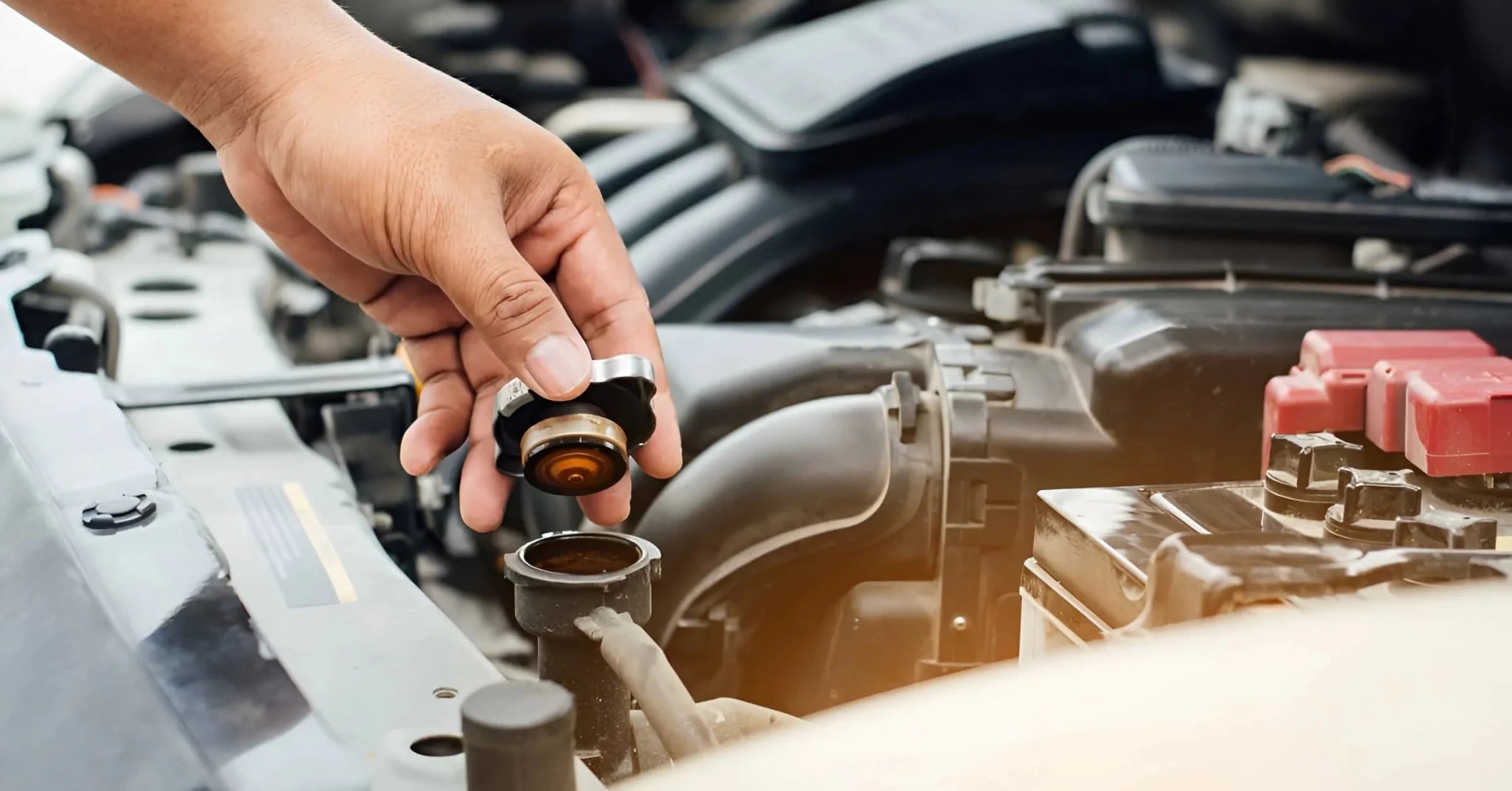 Radiator Hose Replacement Cost