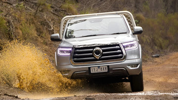 GWM Cannon Ground Clearance