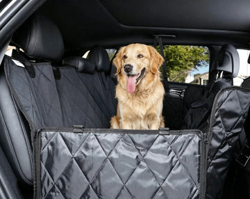 GWM Haval Dog Seat Covers