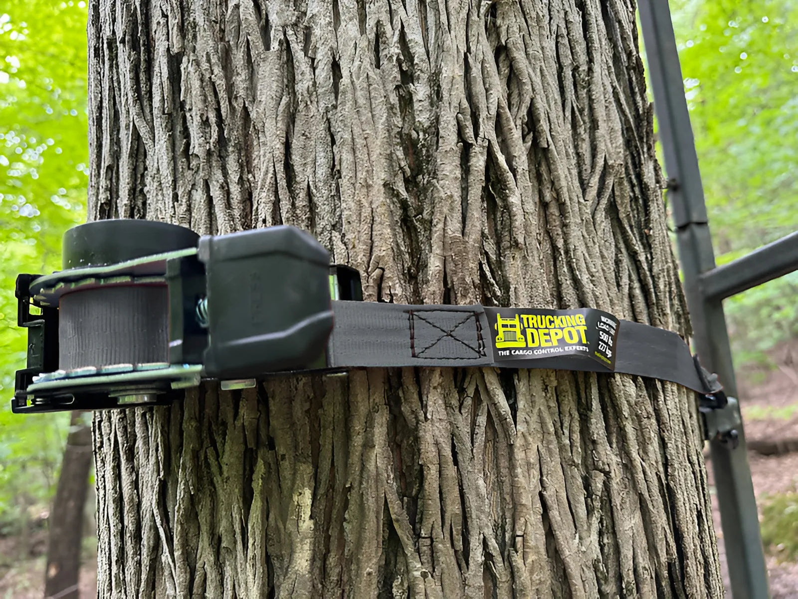 Retractable Ratchet Straps