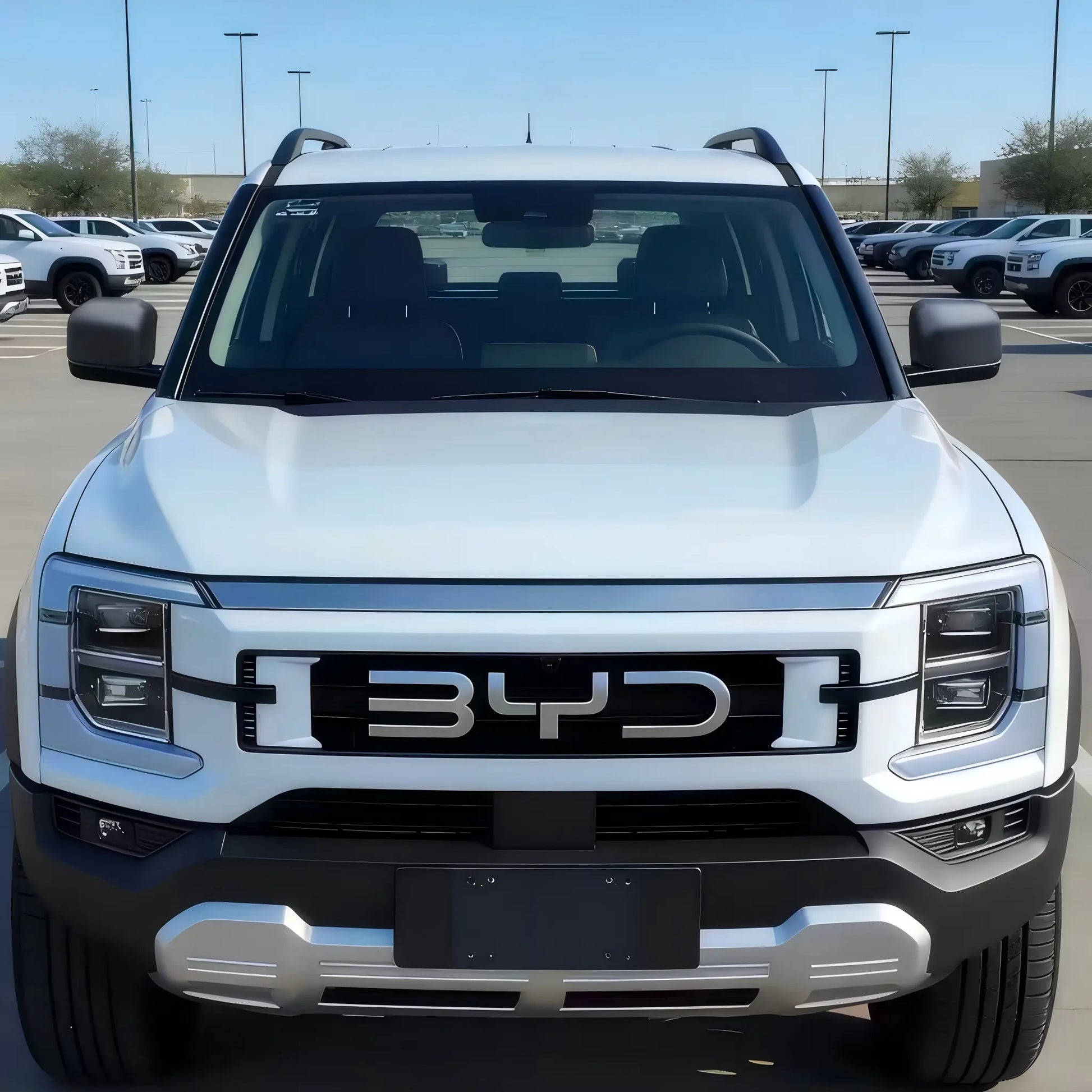 BYD Shark Mirror Covers, back view