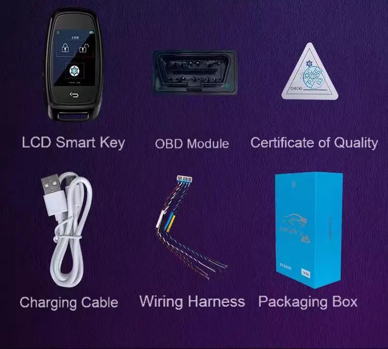 Actualización de llave LCD inteligente para vehículos con arranque manual: uso universal Detail