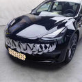 65 - Inch Shark Teeth Decoration Sticker for Tesla Model 3/Y (Tesla decoration stickers) model Y white