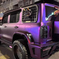 Gwm Tank 300 Mesh Machine Armor (Car Window Trim) Tank 300 Rear Window Exterior Mech Net [1 pair left and right]