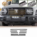 GWM TANK300 Central Grille (central grille) Set of medium mesh insect screens