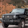 GWM TANK300 Central Grille (central grille) Set of medium mesh insect screens