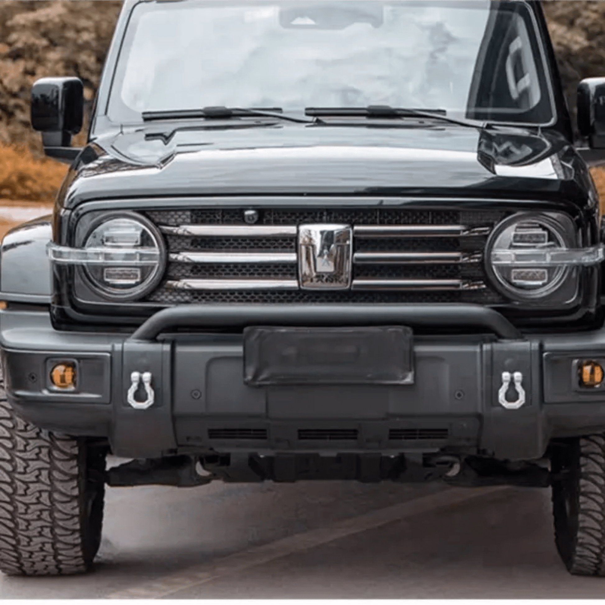GWM TANK300 Central Grille (central grille) Set of medium mesh insect screens