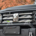 GWM TANK300 Central Grille (central grille) Set of medium mesh insect screens