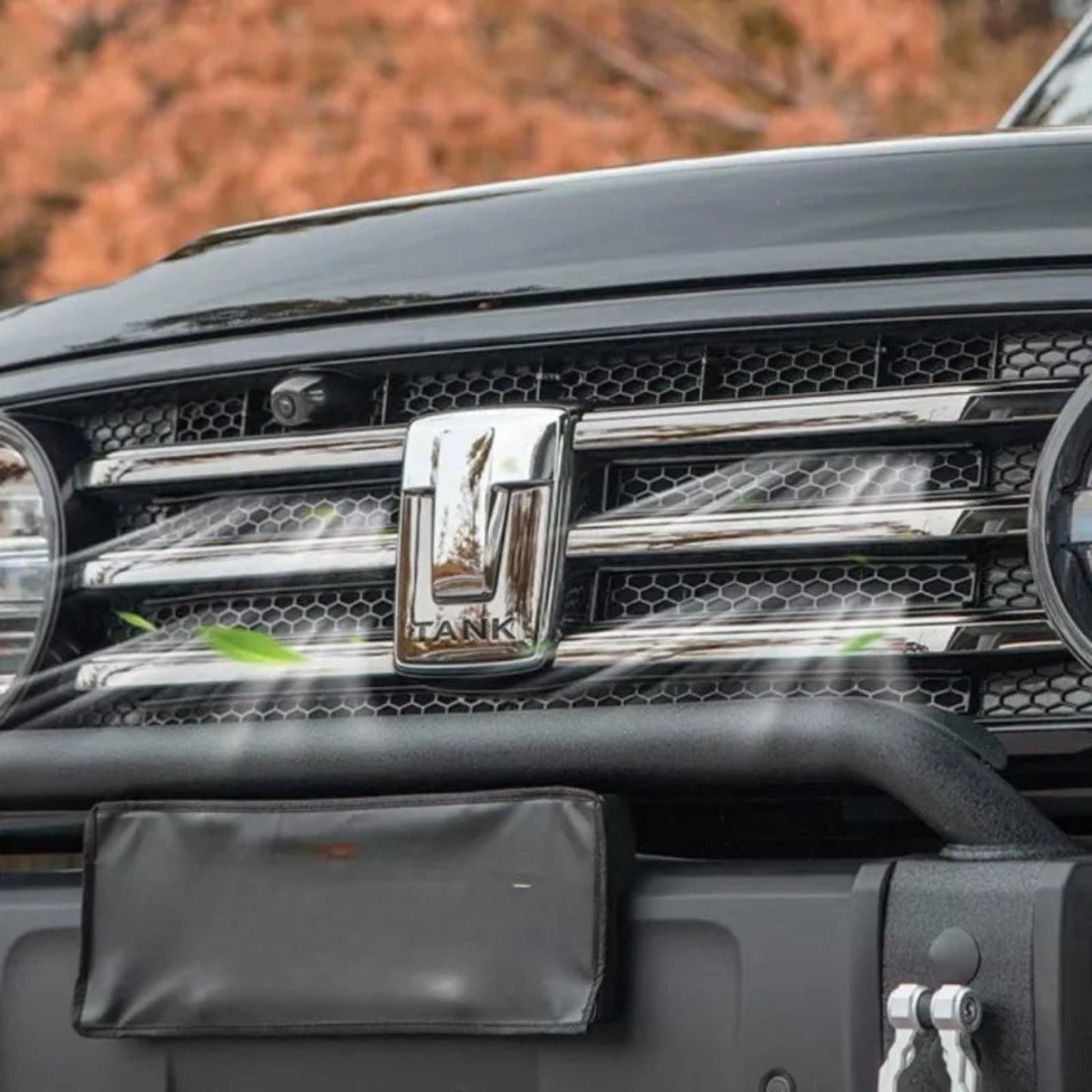 GWM TANK300 Central Grille (central grille) Set of medium mesh insect screens