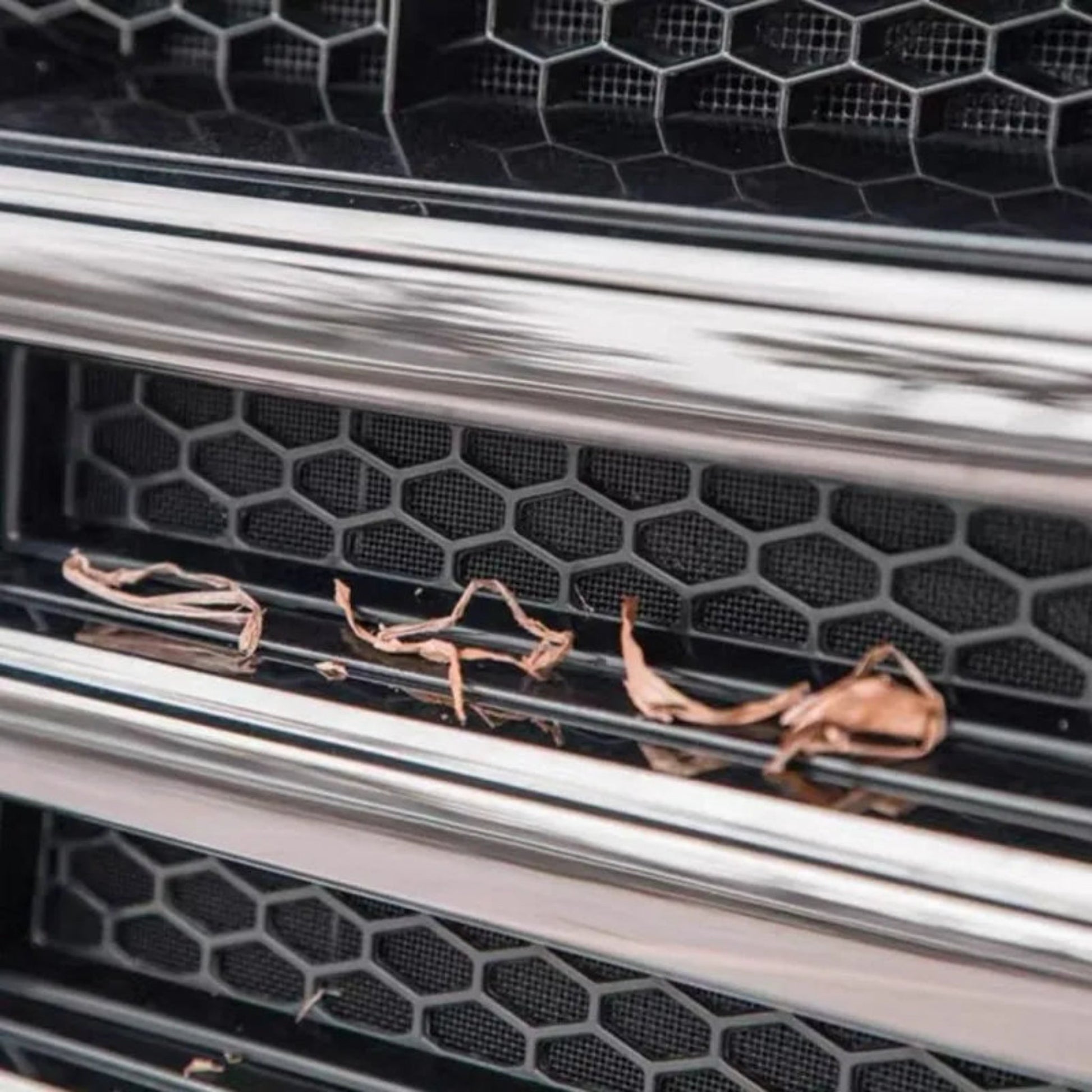 GWM TANK300 Central Grille (central grille) Set of medium mesh insect screens